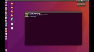 TerminalLab: Permanently delete files from the terminal