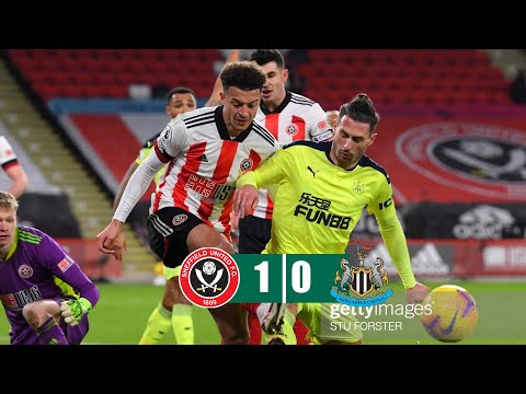 Sheffield United vs Newcastle  1-0 All Goals &amp; Highlights 12/01/2021 HD