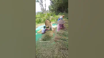 اعمل لدنياك كأنك تعيش ابدا وعمل لدنياك كأنك تموت غدا Motivation Bismillahfyp Fyp Katakata Fypp 