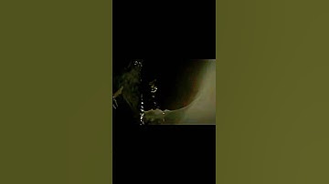 The perfect organism | Alien Romulus edit #edit #alein #xenomorph #fyp #capcut #shorts #movie