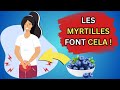 Si vous voulez une meilleure sant mangez les myrtilles chaque jour  fruits antige