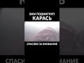 Так подмигивает карась #рыбалка