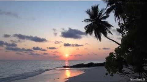 تلاوة هادئة تفيض جمالا