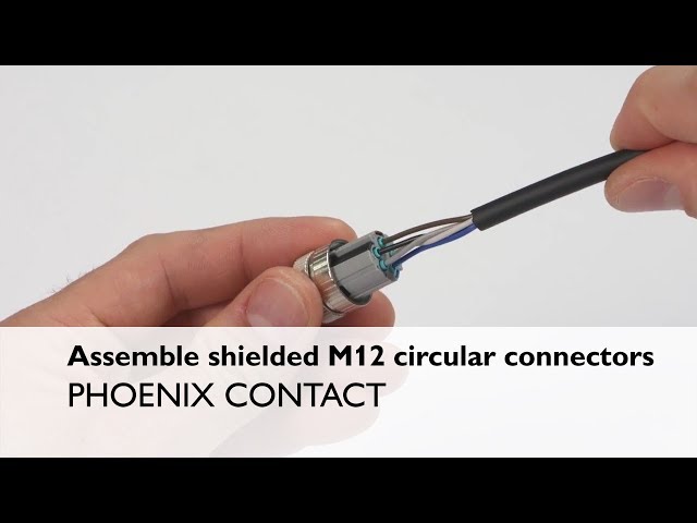 Connecteurs M12 Power avec raccordement PushLock - Un branchement