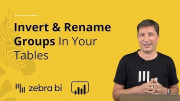 How To Invert and Rename Groups in Zebra BI Tables  || Zebra BI Knowledge Base
