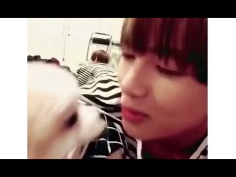 BTS V Vines