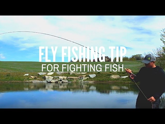 Fly Fishing Tip - Keep the Rod Tight When Fighting Fish 