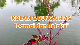 KETENANGAN ALAM, Kolam Air Dihiasi Tanaman Bunga Hias Dengan Suara Pancuran Air Juga Kicauan Burung