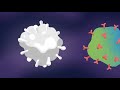 How Does the COVID-19 Vaccine Work? | Cedars-Sinai