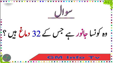 General Knowledge Questions And Answers - Paheliyan In Urdu With Answer |GM InFo Tv 2025 #quiz