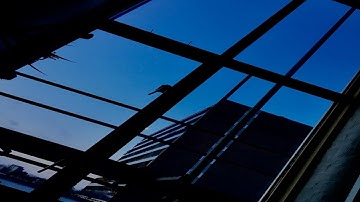 MYOCYT - TREEPP [ONE45]