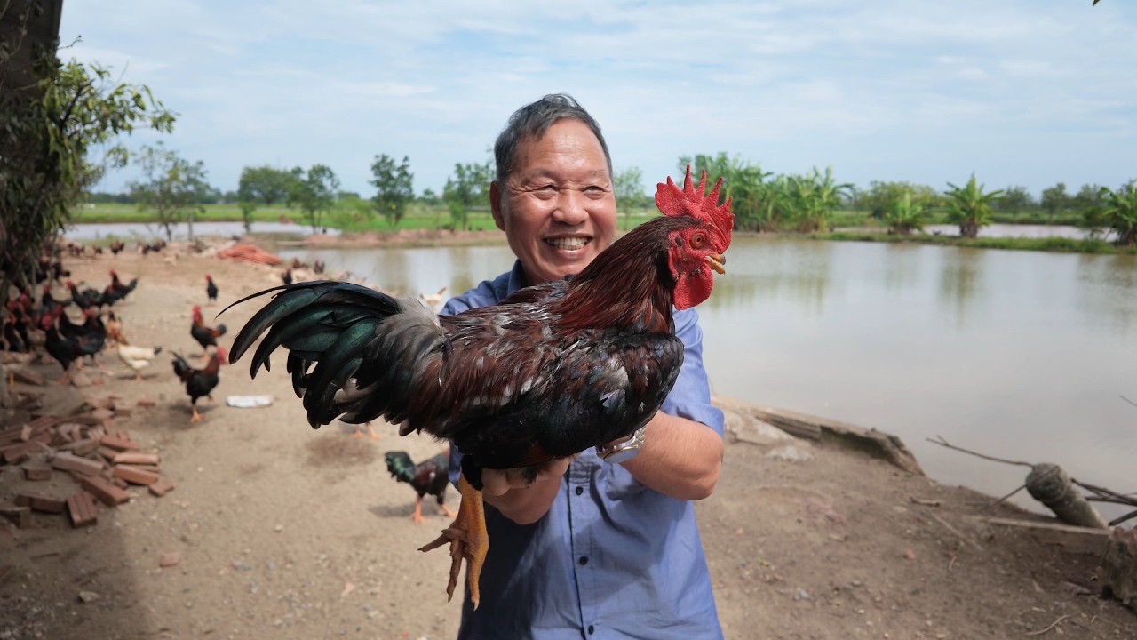 Hidden Hanoi: Exploring Massive Chicken Farms and Local Harvests in the Suburbs – Video