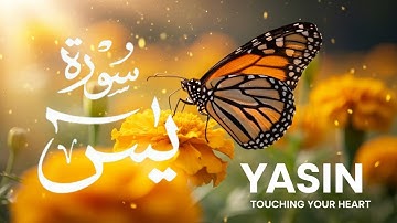 Surah Yaseen (Yasin) سورة يس | Ultimate Relaxation & Emotional Healing Through Quran | #surahyasin