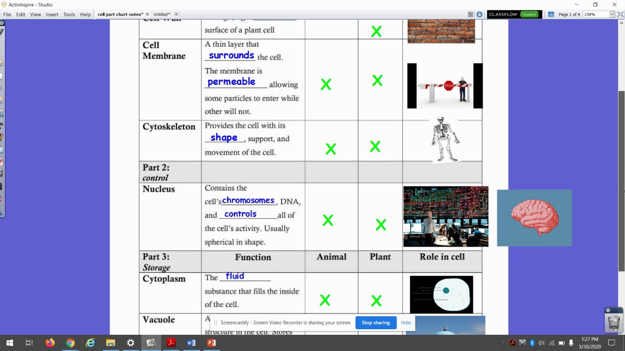 cell part chart video part 1 - YouTube