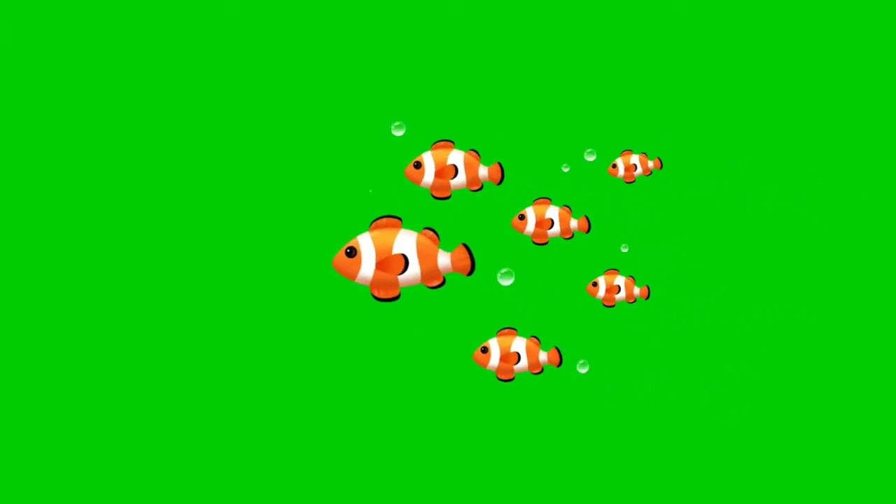 fish free green screen