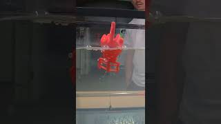 Addams Family Floater