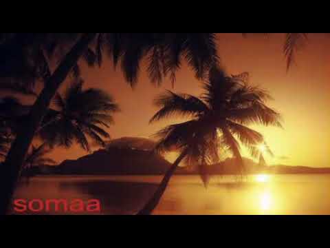 من شوقي ليك آمجد الشاطرابي وعمر النافعاب والنوراني البخيت وود احمد