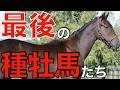 この世代が最後の産駒に？ラストクロップ候補の種牡馬たちを徹底考察。