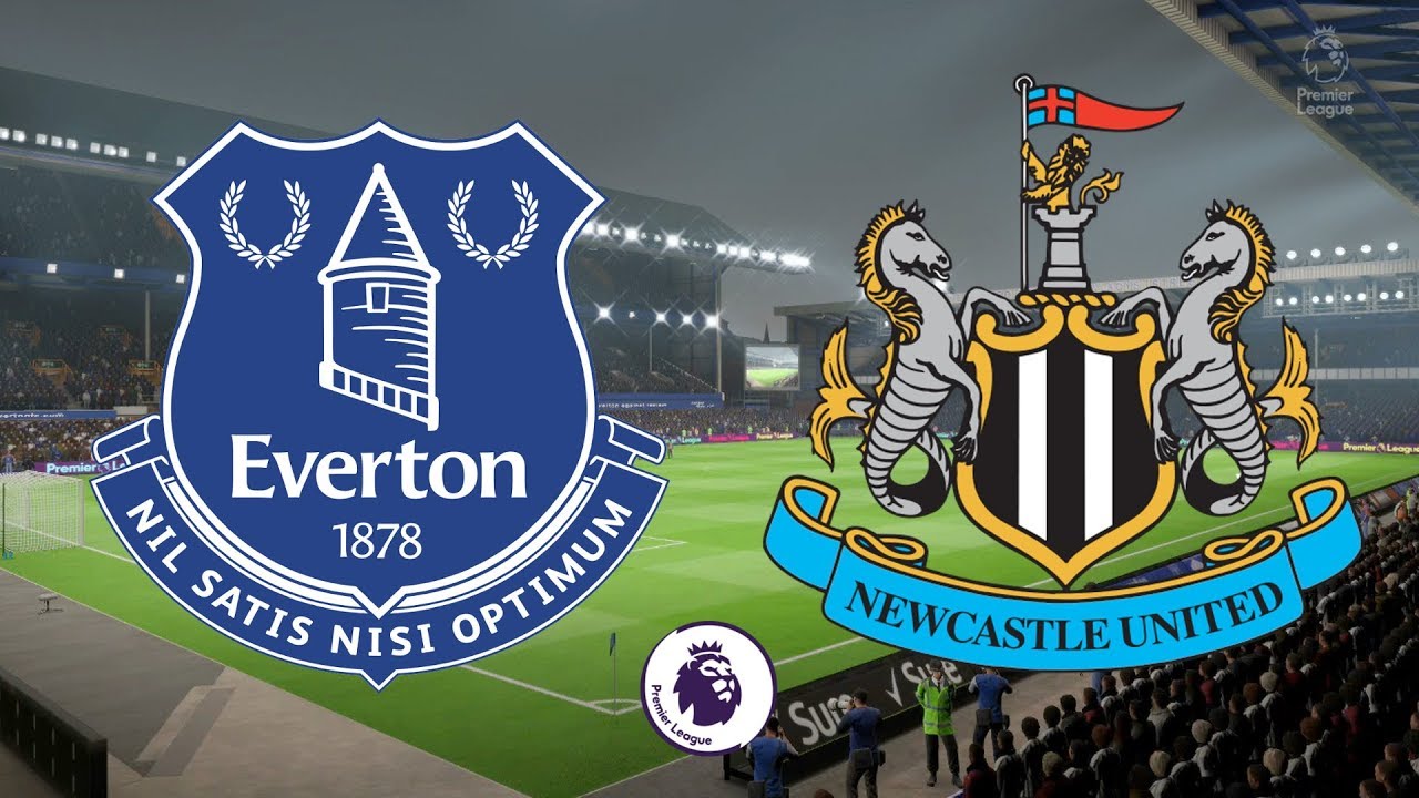 Everton vs newcastle