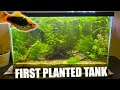 Mario&#39;s First Planted Tank is Off the Hook