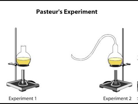 Pasteur s Work Into Motion