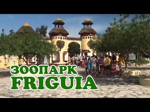 🐘 Тунис - Зоопарк Фригия (Tunisia, Friguia Park)