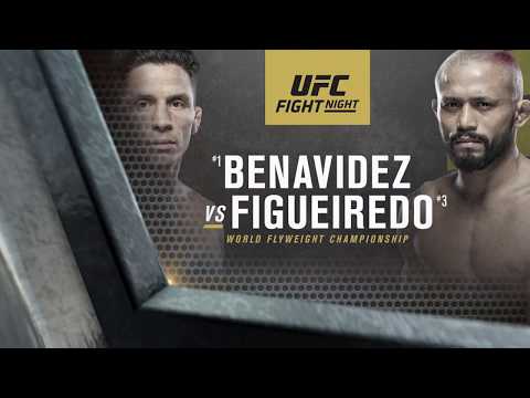 UFC Fight Night: