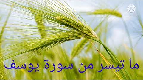 ما تيسر من سورة يوسف