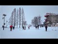 [Snow Walk] 온세상이 하얗다. 폭설에 두물머리 산책. Walking on a Heavy Snow World. Relaxing and Meditation