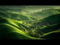 Beautiful Meditation Music: Unwind, Restful Sleep &amp; Focused Study