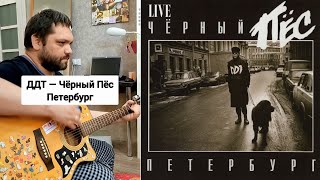 ДДТ - Чёрный Пёс Петербург (Cover + Разбор)