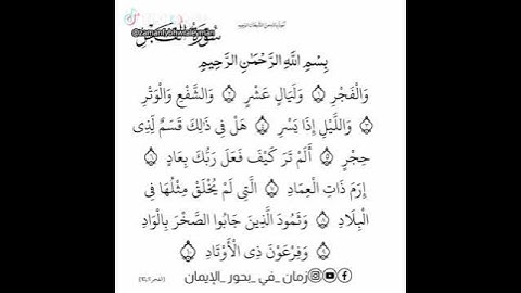 مشاعر وفوائد والحب في سور القرآن الكريم الحب لسورة الفجر