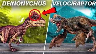 Velociraptor VS Deinonychus | Comparing The Top Dinosaur Hunters