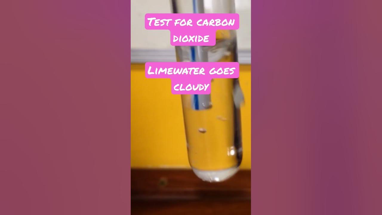 Test for carbon dioxide limewater goes cloudy gcses2023 alevels2023 
