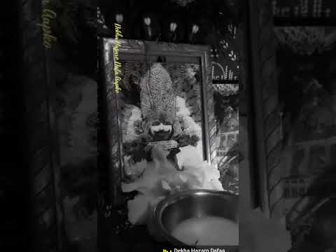 baba🙇‍♀️💫 #shyam #khatubhajans #lakhdatarbhajan #jaishreeshyam #khatuwalashyam #viralshortsvideo