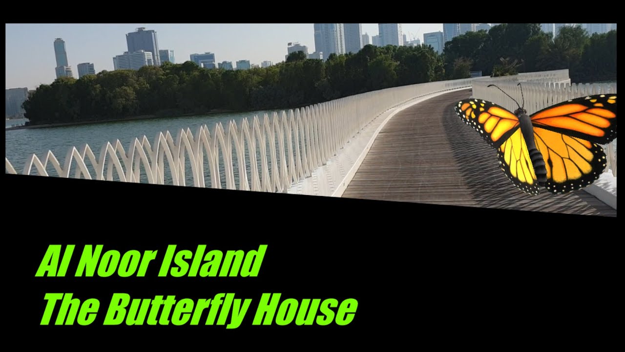 Butterfly House Sharjah Butterfly Garden Sharjah Sharjah Tourism
