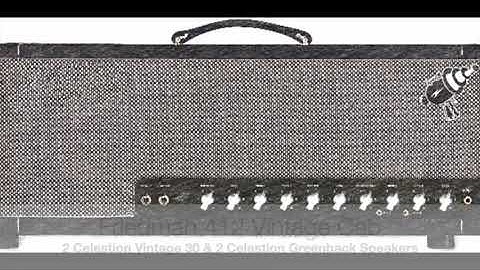 Rigbusters Kemper Profiles - Friedman SS100 V2