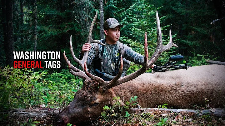 How to Buy Deer & Elk Tags in Washington | General Season Tags Edition