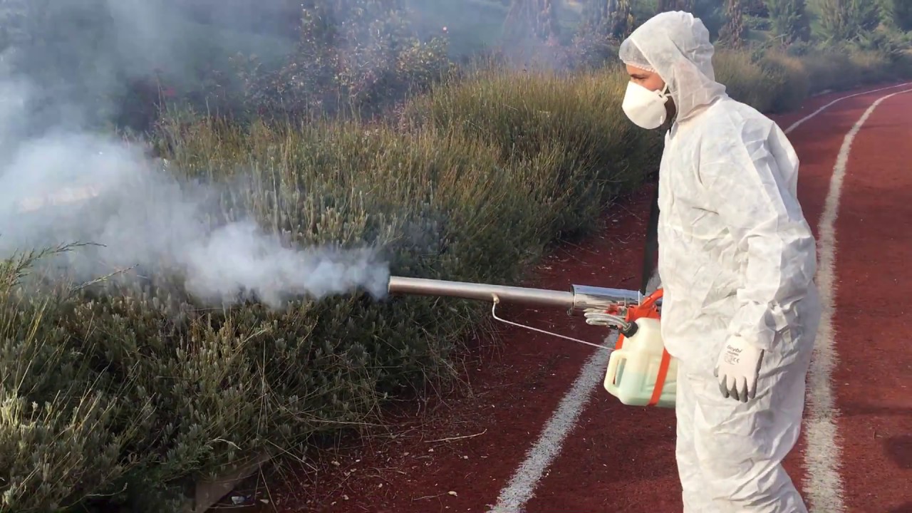 Thermal Fogging machine - YouTube