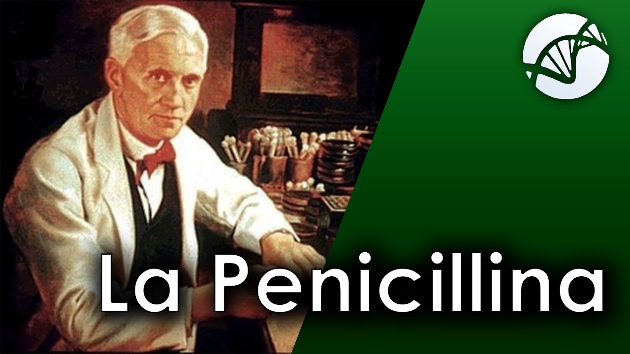 Alexander Fleming e la scoperta della Penicillina 💊 - YouTube