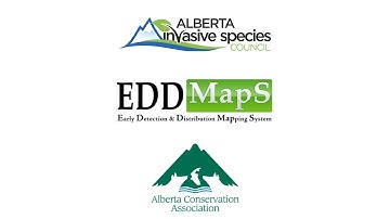 EDDMapS Alberta Quick Tutorial - Reporting Invasive Species