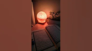 فريحين بما اتاهم الله من فضله محمد صديق المنشاوي القرآن الكريم المنشاوي قران كريم 