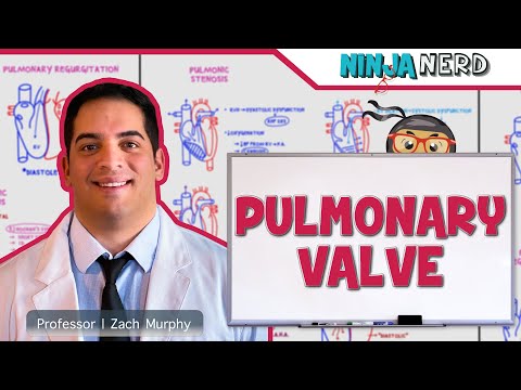 Video: Ce fac valva pulmonară?