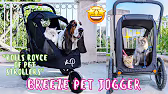 Post by Petique (Pet-Teek) Pets