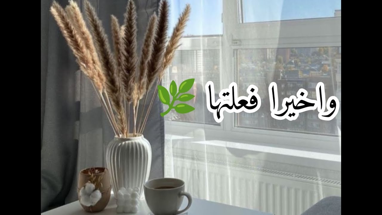 اول تجديدات العيد ديكور حصري  💪 فاز ايكيا الترندي جداا ببلاش 🌿.