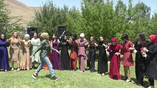 Roj Müzik Kır Düğünü