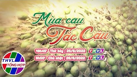 Nhịp sống đồng bằng: Mùa cau Tắc Cậu | Trailer