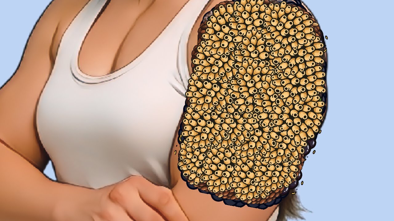 Deepsleep Texture Asmr / Calming repetitive textures for deep sleep 💕🌿 - YouTube