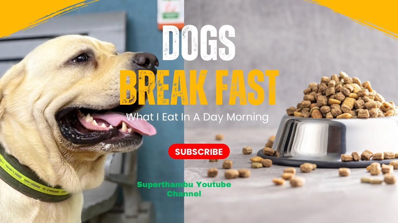 Image result for Dogs' Morning Breakfast Menu | Healthy & Tasty Dog Food Ideas | WHAT ...