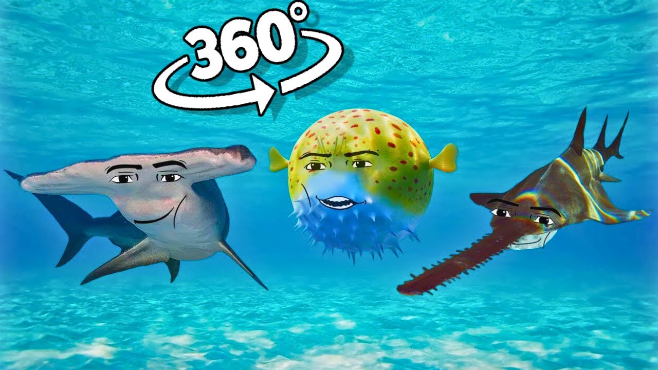 360° VR Oceanic Gegagedigedagedago 5 - YouTube